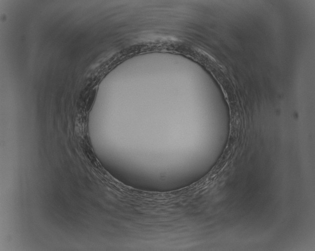 X0000071780869200606300914
