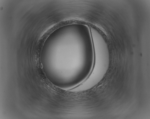 X0000071780872200606300914
