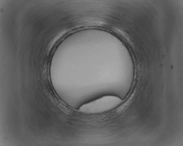 X0000071780875200606300914