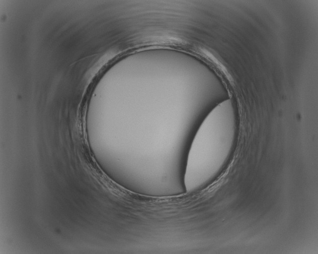 X0000071780883200606300914