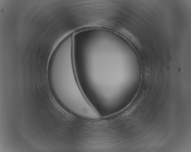 X0000071780884200606300914