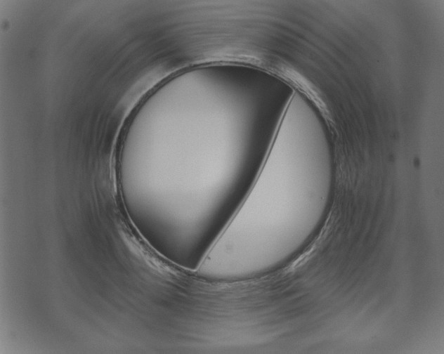 X0000071780892200606300914