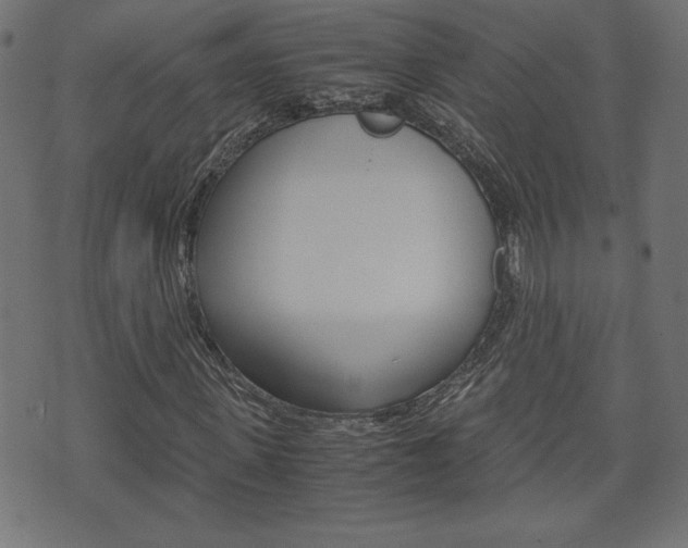 X0000071780915200606300913