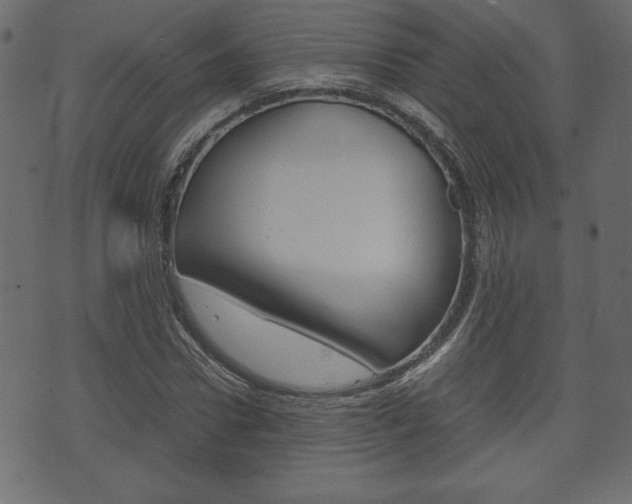 X0000071780922200606300913
