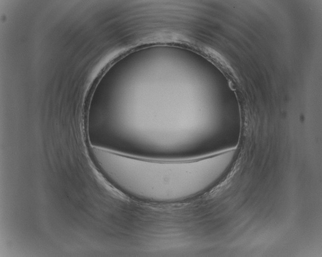 X0000071780942200606300913