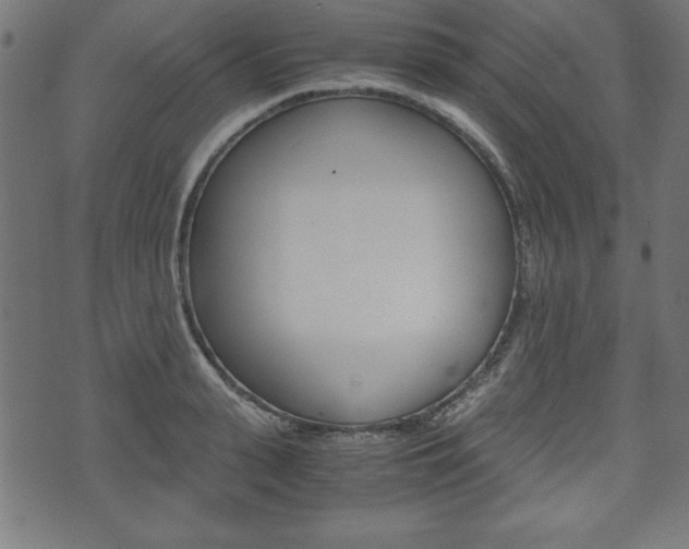 X0000071780943200606300913