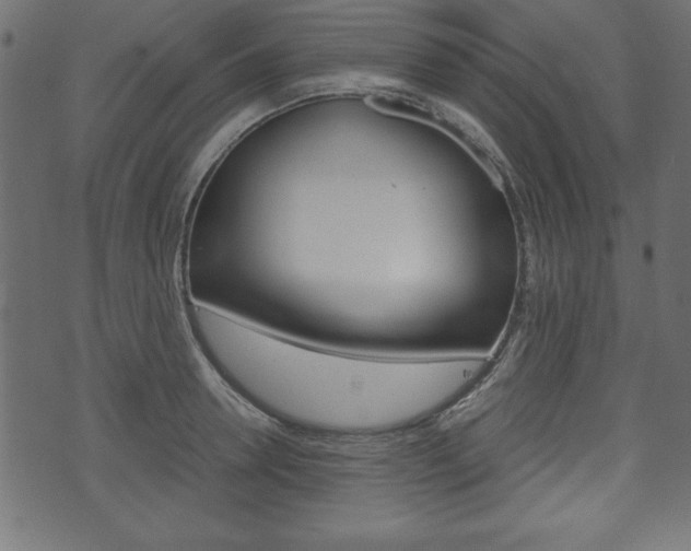 X0000071780946200606300913