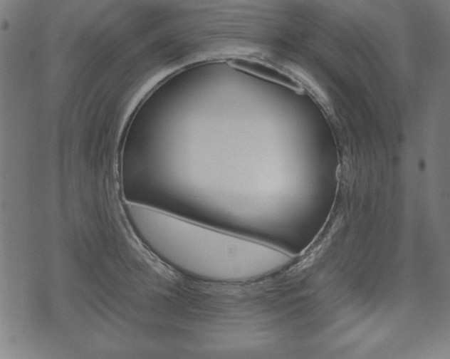 X0000071780948200606300913