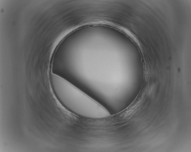 X0000071780951200606300913