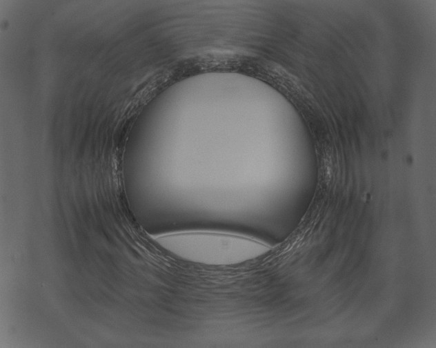 X0000071780964200606300913