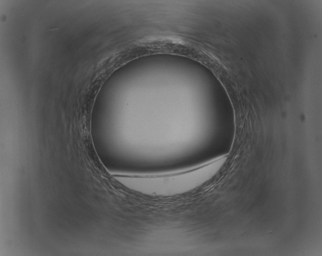 X0000071780965200606300913