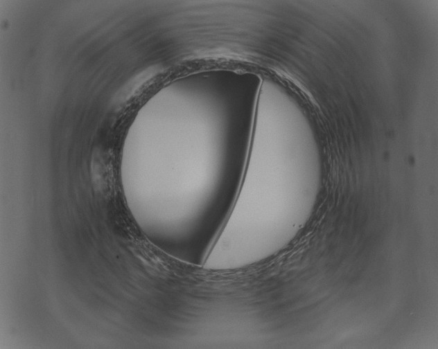 X0000071780968200606300913