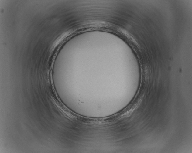 X0000071780970200606300913