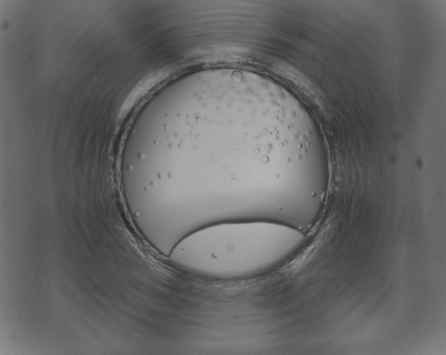 X0000071780978200606300913