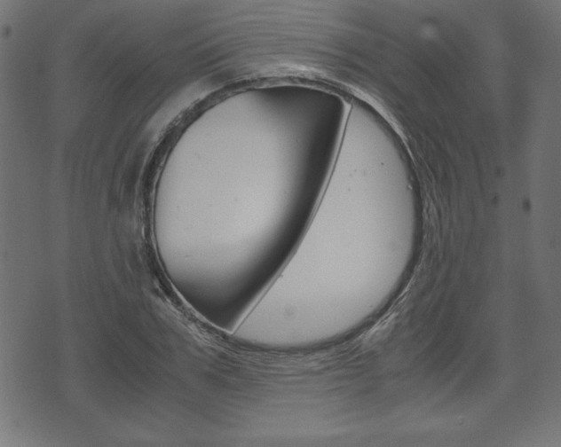 X0000071780979200606300913