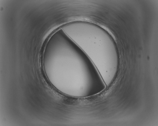 X0000071780983200606300912