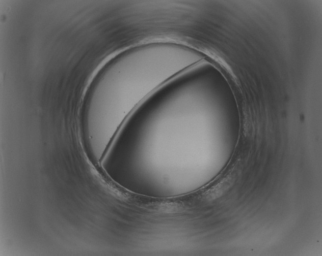 X0000071780984200606300912