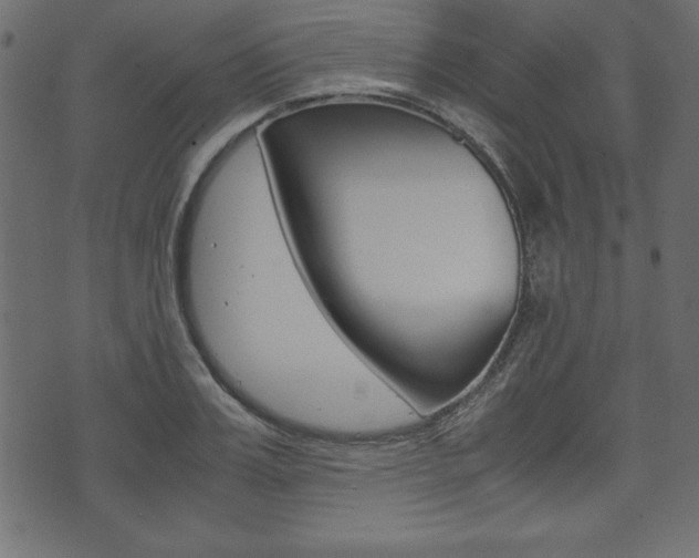 X0000071780987200606300912
