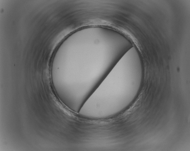 X0000071780990200606300912