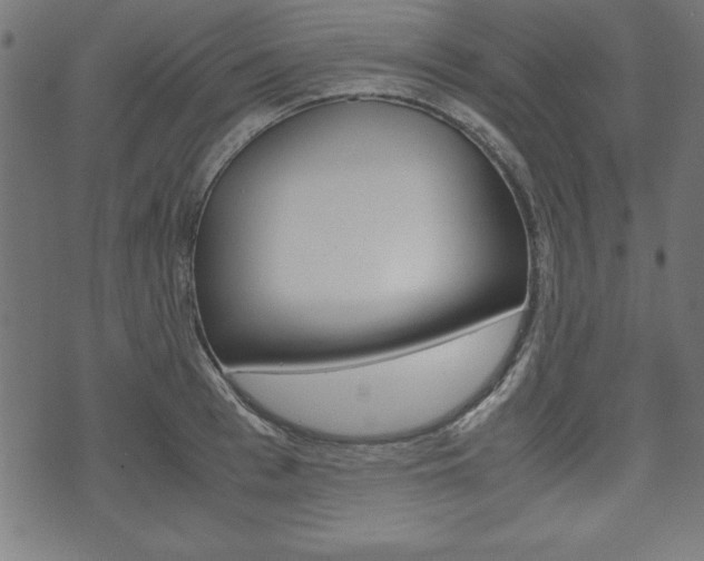 X0000071780993200606300912