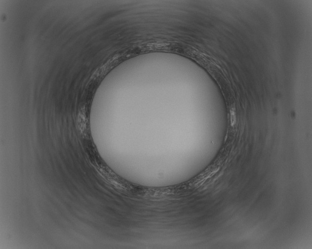 X0000071781011200606300911