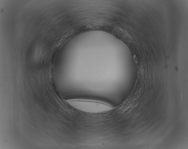 X0000071781012200606300911