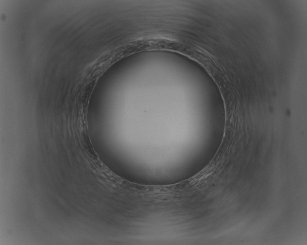 X0000071781014200606300911