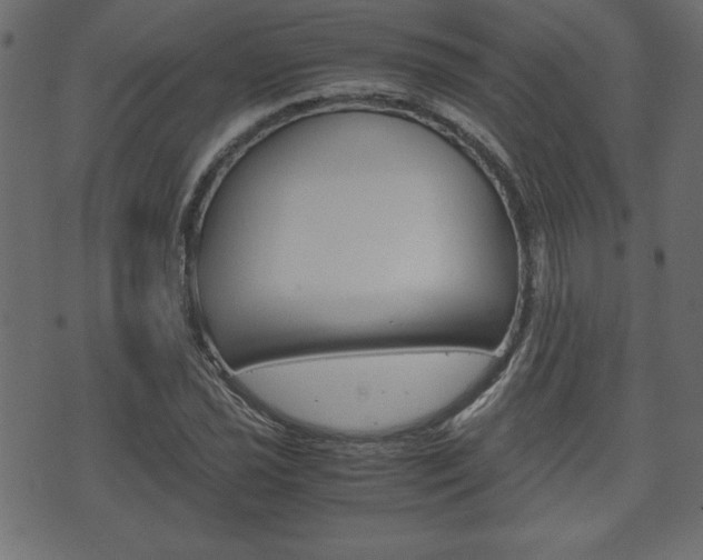 X0000071781021200606300911