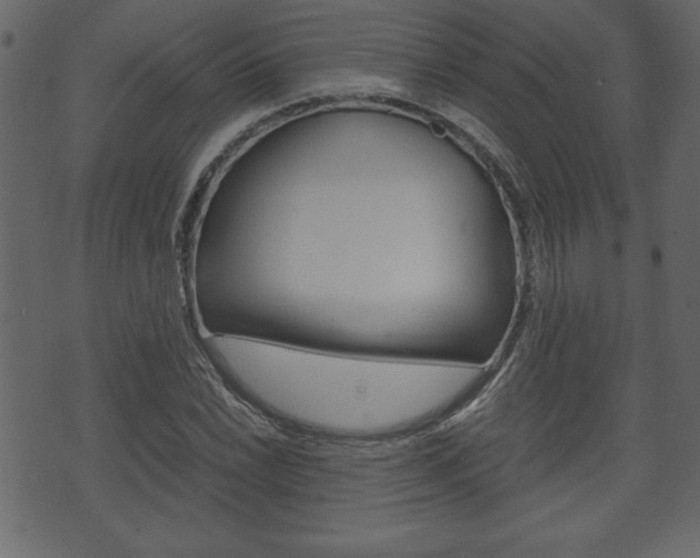 X0000071781022200606300912