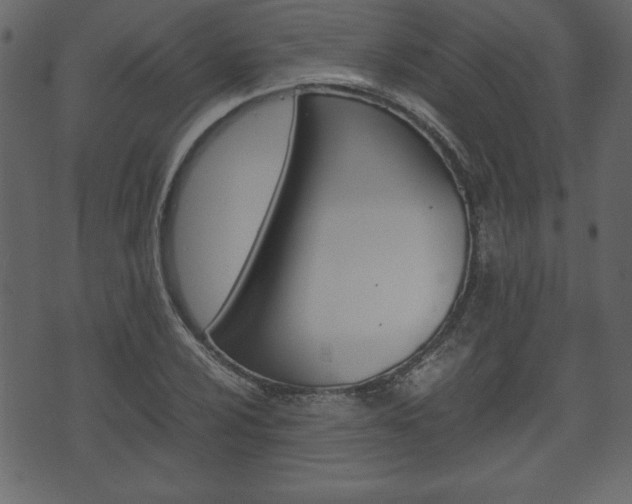 X0000071781024200606300912