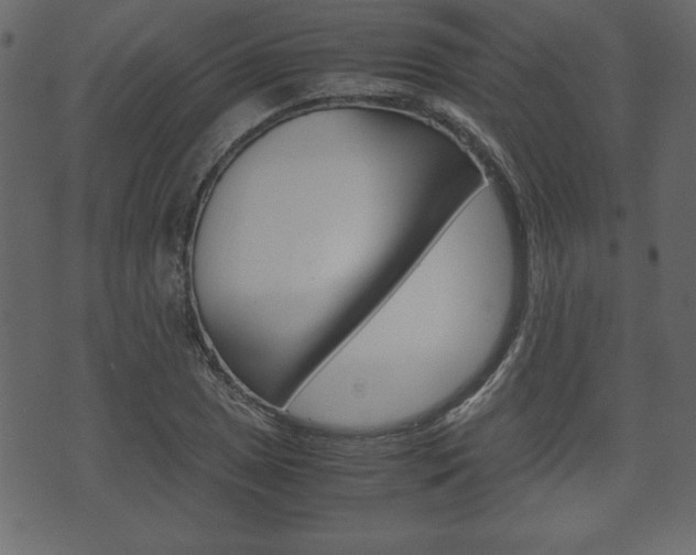 X0000071781025200606300912