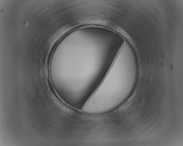 X0000071781028200606300912