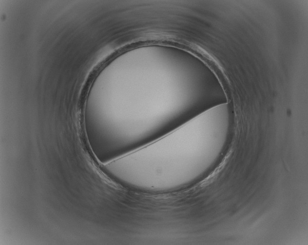 X0000071781029200606300912