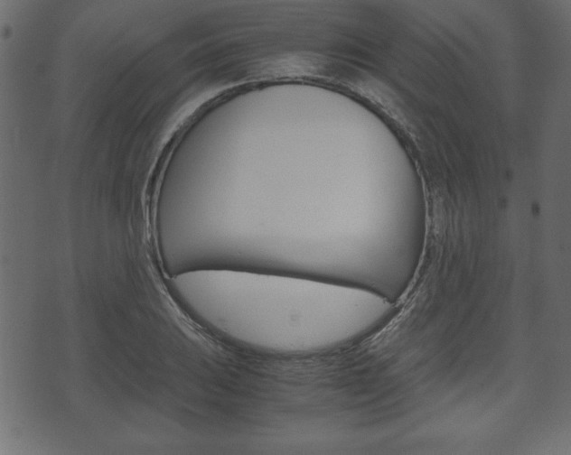 X0000071781031200606300912