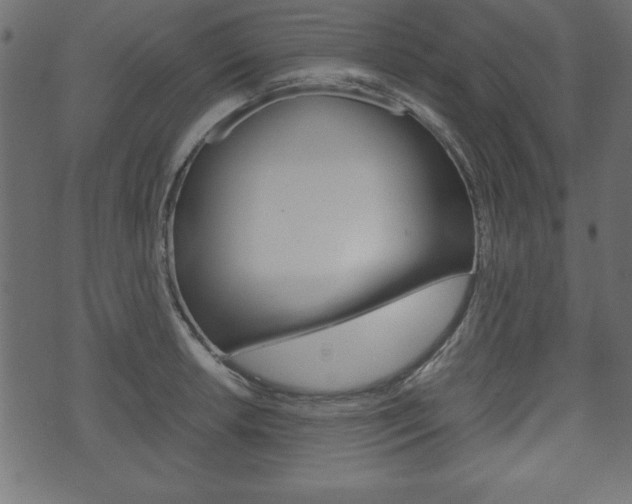 X0000071781042200606300912