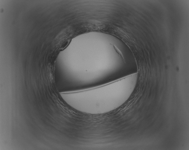 X0000071781058200606300911