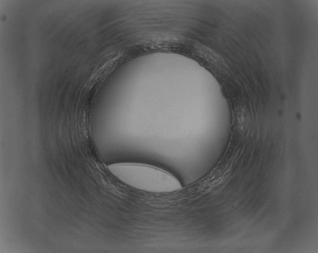 X0000071781060200606300911