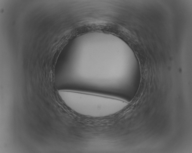 X0000071781061200606300911