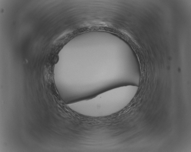 X0000071781063200606300911