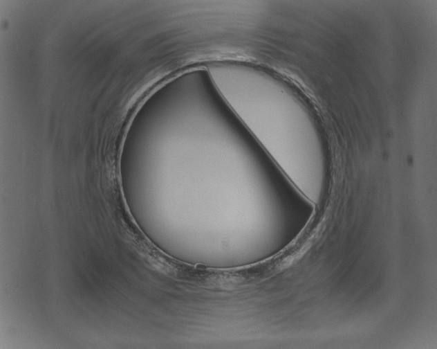 X0000071781073200606300911