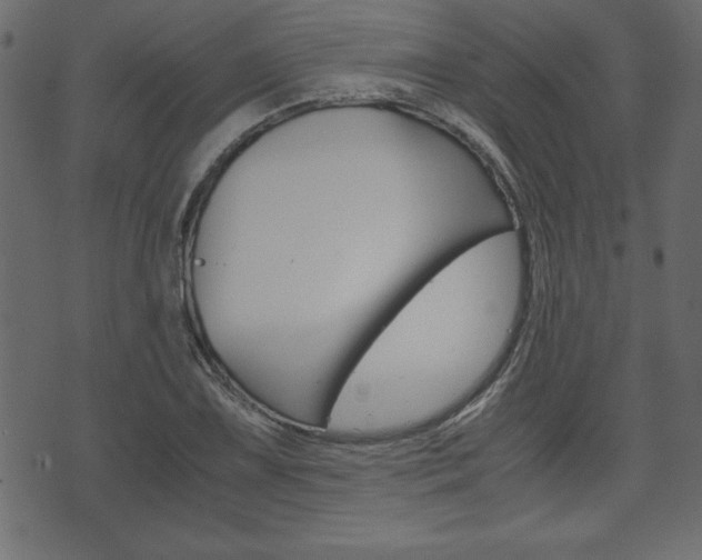 X0000071781075200606300911