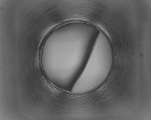 X0000071781076200606300911