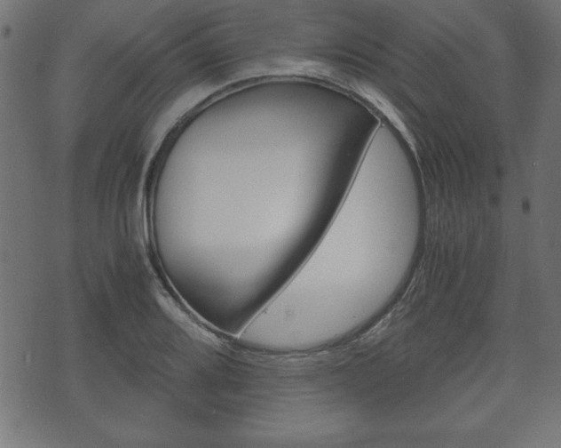 X0000071781080200606300911
