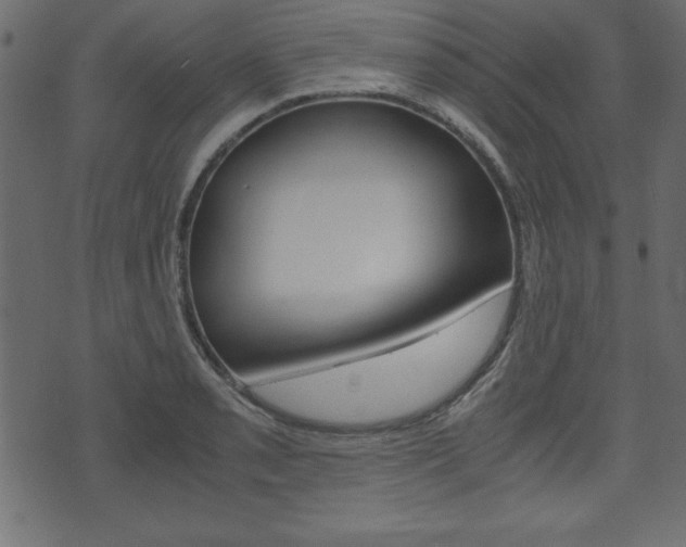 X0000071781085200606300911