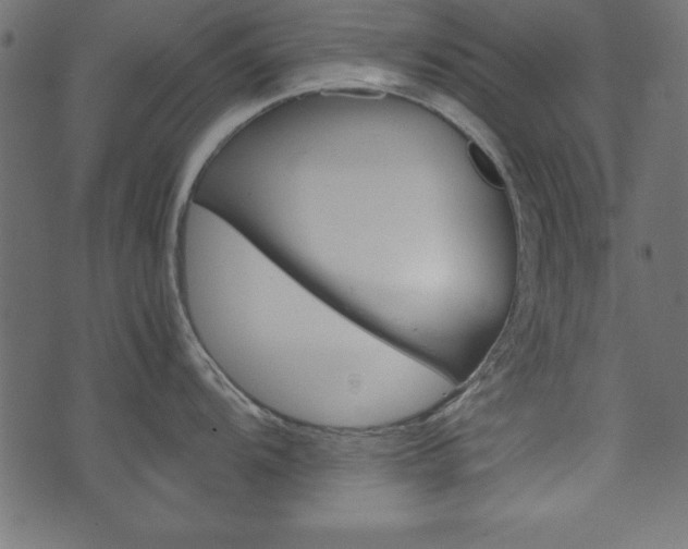 X0000071781104200606300911