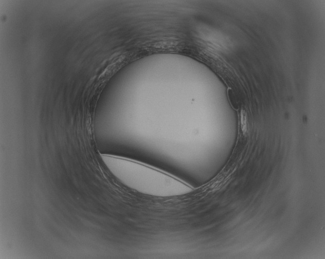 X0000071781107200606300910