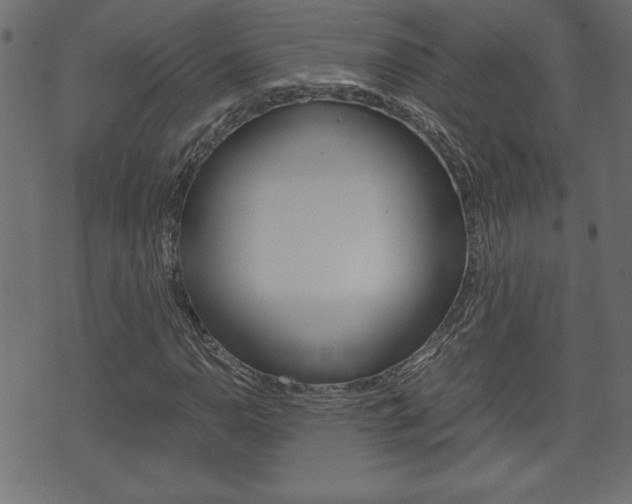 X0000071781110200606300910