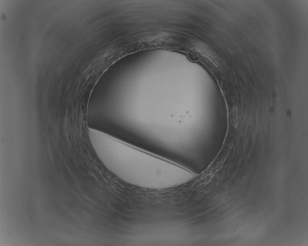 X0000071781111200606300910