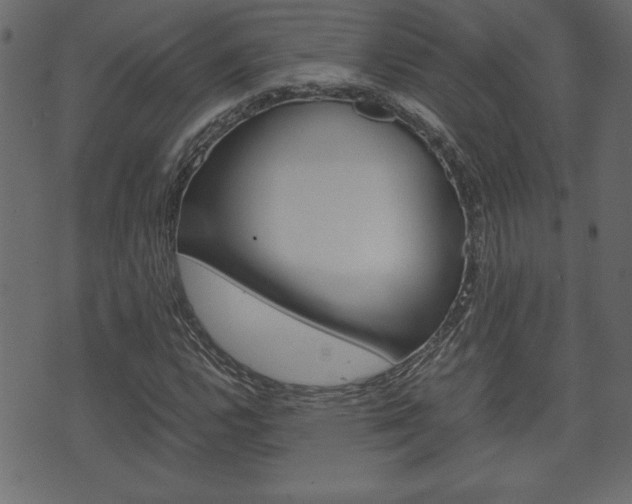 X0000071781112200606300910