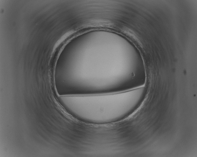 X0000071781114200606300910